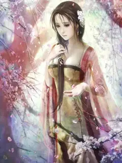 红楼之挽天倾(重置版)